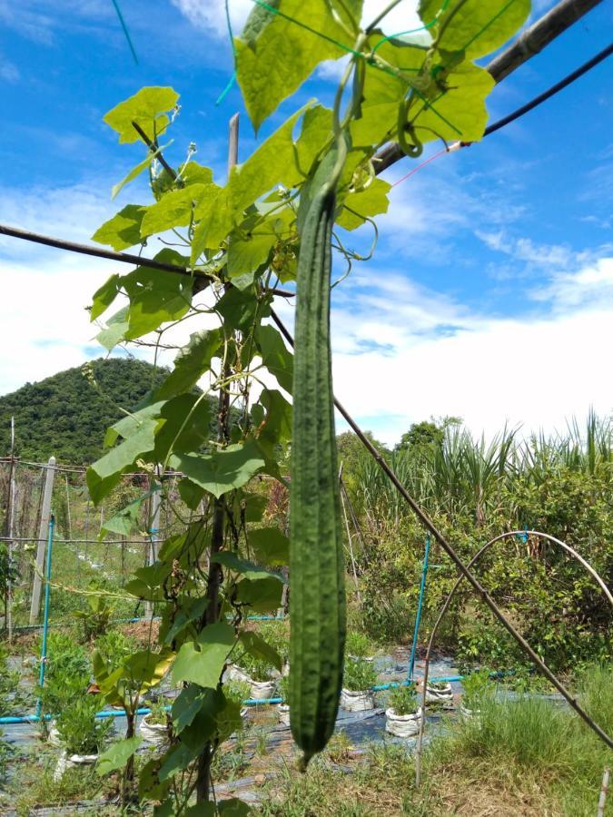 Royal Mountain View Ratchaburi Βίλα Εξωτερικό φωτογραφία
